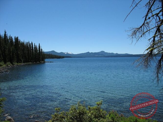 Fishing lakes offer many opportunities